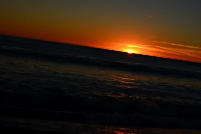 DSC_1301 (Large).JPG